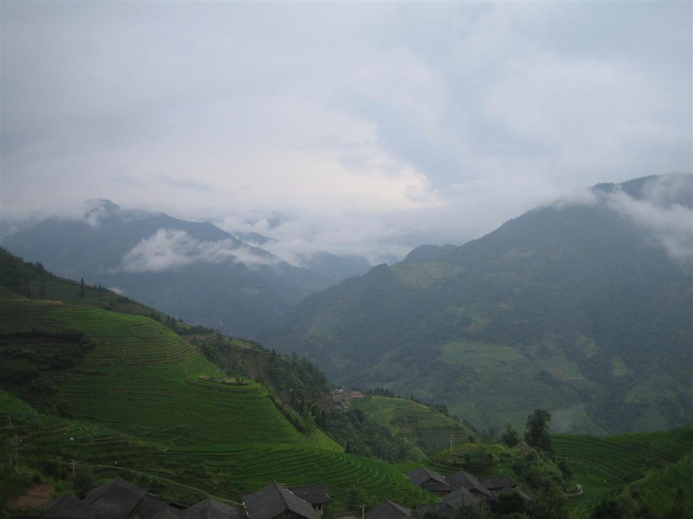 img_6452.jpg