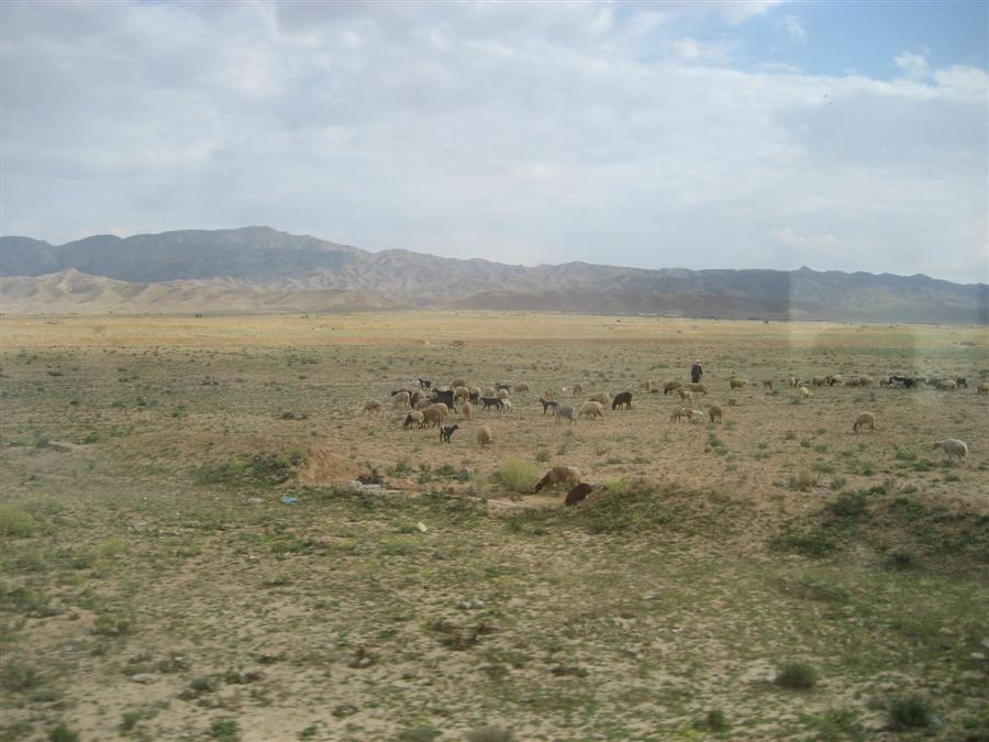 IMG_5488.JPG